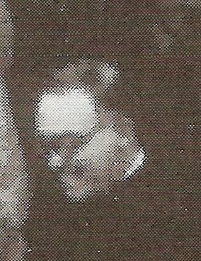 Don Giuliano Dettori